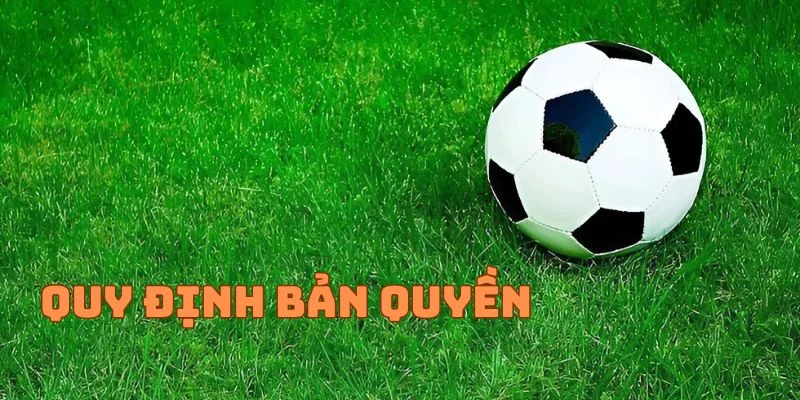 quy định bản quyền tại cà khịa tv