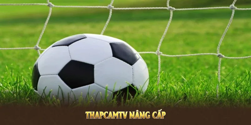ThapcamTV Và CakhiaTV - Trực Tiếp Bóng Đá Ưu Việt Nhất 2025 2 ThapcamTV nâng cấp để phục vụ nhu cầu giải trí trực tuyến tốt nhất