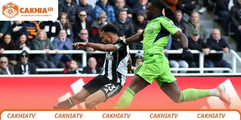 Dự đoán kết quả chung cuộc trận đấu giữa Fulham vs Newcastle United