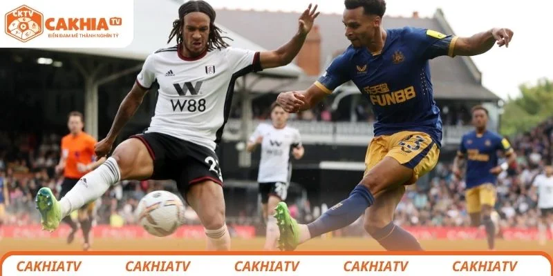 Nhận định chi tiết tình hình lực lượng 2 đội Fulham vs Newcastle United