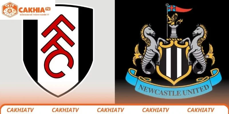 Fulham vs Newcastle United